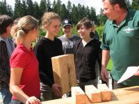 Waldklaenge_(2)
