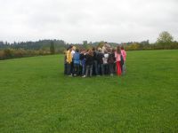 limes_201020