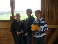 limes_201035