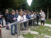 limes_201040