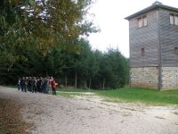 limes_201041