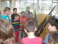 limesmus14