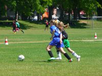 mfuss_062420