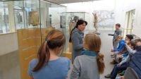 limesmuseum09