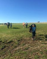 reiten14