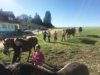 reiten15