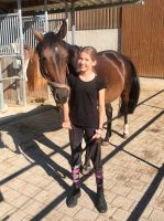 reiten18