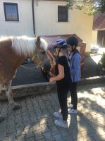 reiten19