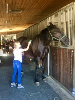 reiten20