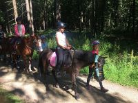 reiten33