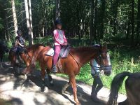 reiten35