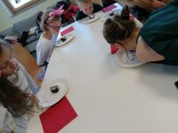 Bild4