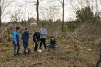 baum_29