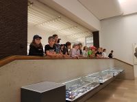 holz_24