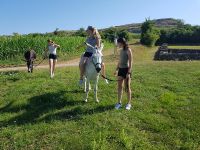 proje_19