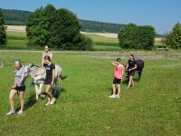 proje_31