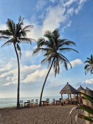 togo003