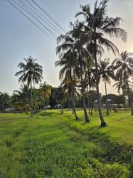 togo017