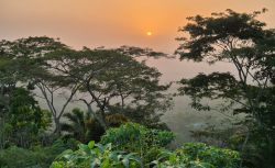 togo019
