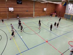 voel01