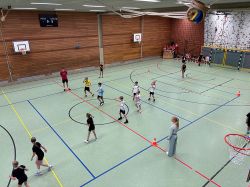 voel03