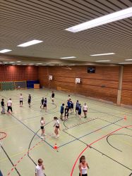 voel04