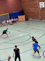 voel06
