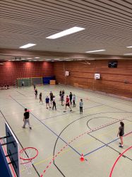 voel07