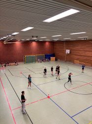 voel08
