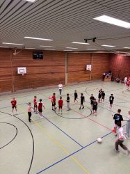 voel09