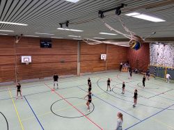 voel11