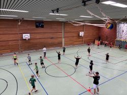 voel12