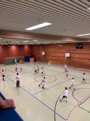 voel13