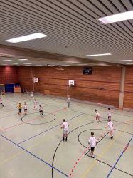 voel14