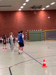 voel15