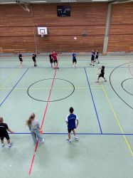 voel16
