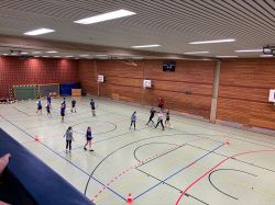 voel17