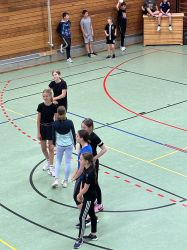 voel19